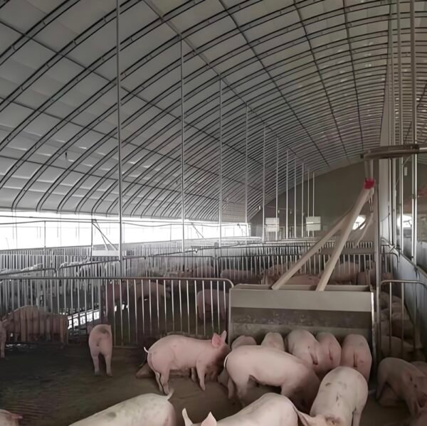 Steel Structure Farm House