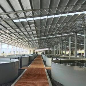 Steel Structure Farm House