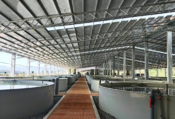 Steel Structure Farm House