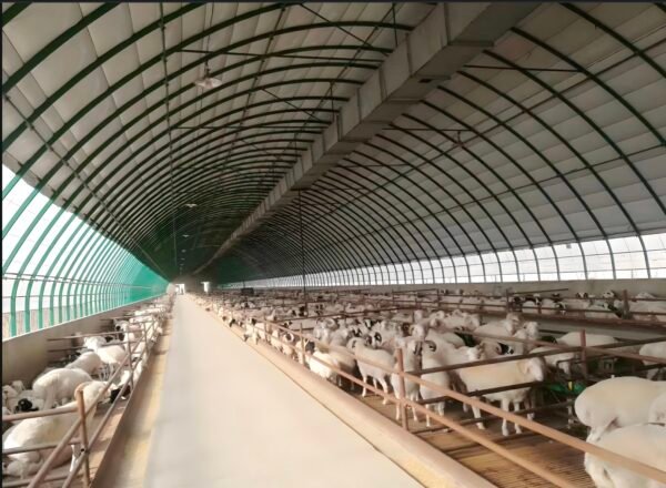 Steel Structure Farm House