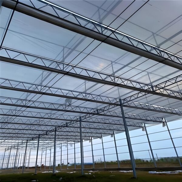Steel Structure Farm House
